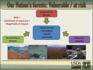 Our Nation’s forests: Vulnerable / at risk