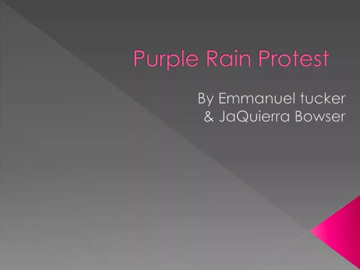 purple rain protest