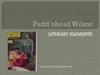 pudd nhead wilson