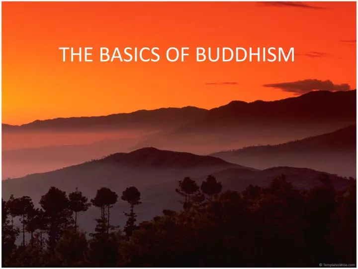 the basics of buddhism