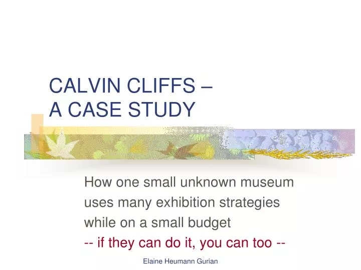 calvin cliffs a case study