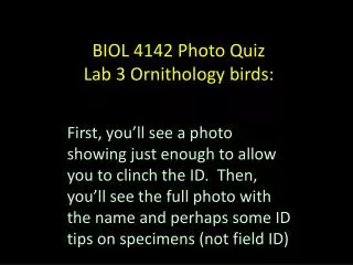 BIOL 4142 Photo Quiz Lab 3 Ornithology birds: