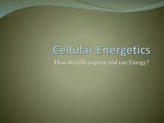 cellular energetics