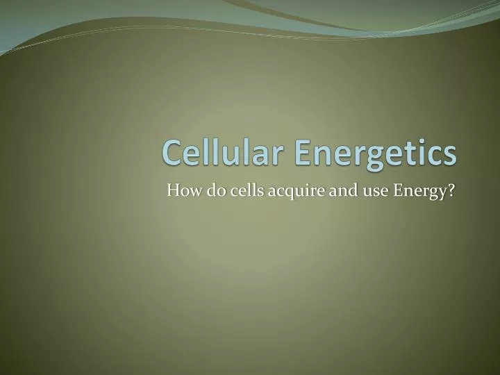cellular energetics