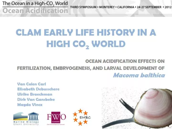clam early life history in a high co 2 world