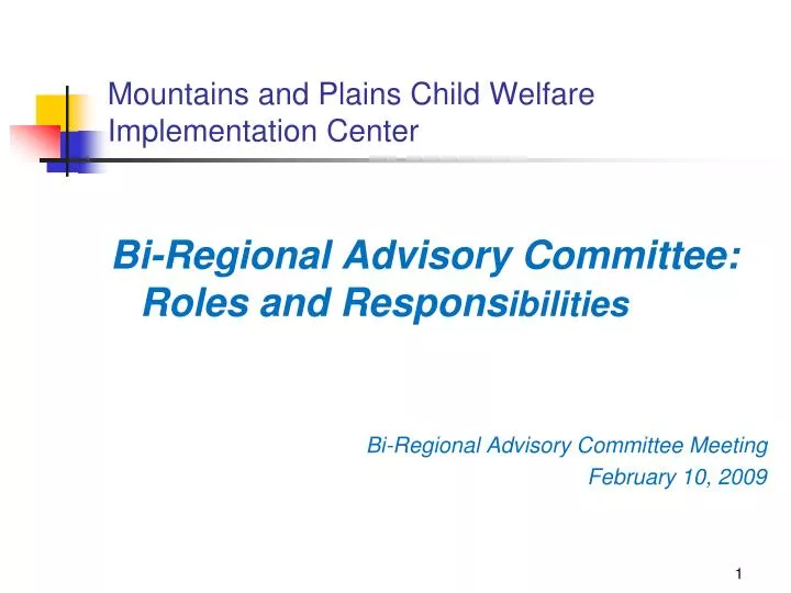 mountains and plains child welfare implementation center