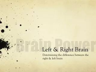 Left &amp; Right Brain