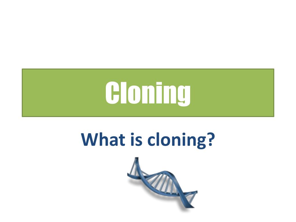 PPT - Cloning PowerPoint Presentation, free download - ID:2831686