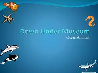 Down Under Museum