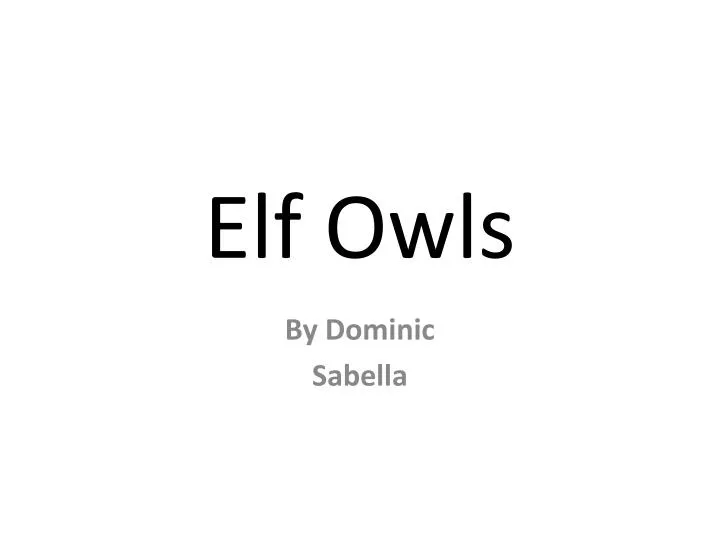 elf owls