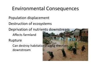 Environmental Consequences