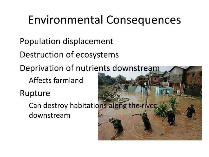 environmental consequences