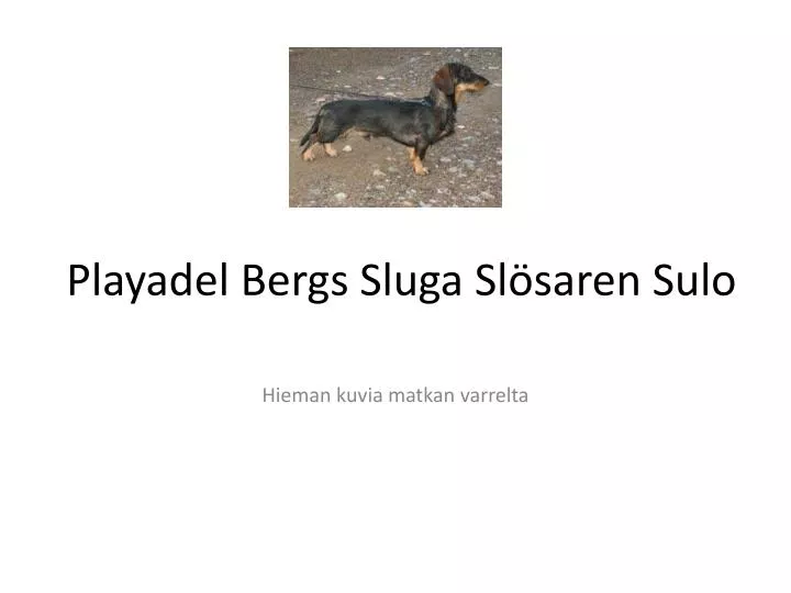 playadel bergs sluga sl saren sulo