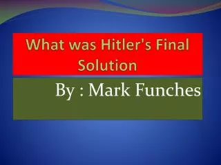What was Hitler's Final Solution