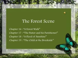 The Forest Scene
