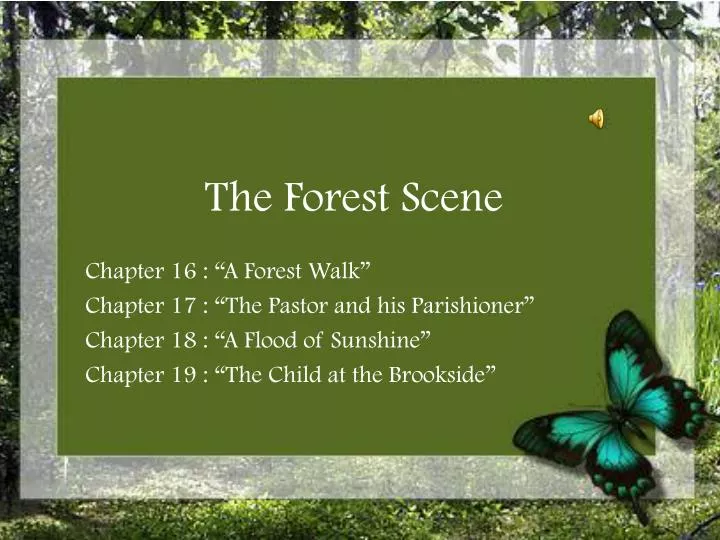 the forest scene