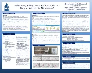 Adhesion of Rolling Cancer Cells to E- Selectin Along the Interior of a Microchannel