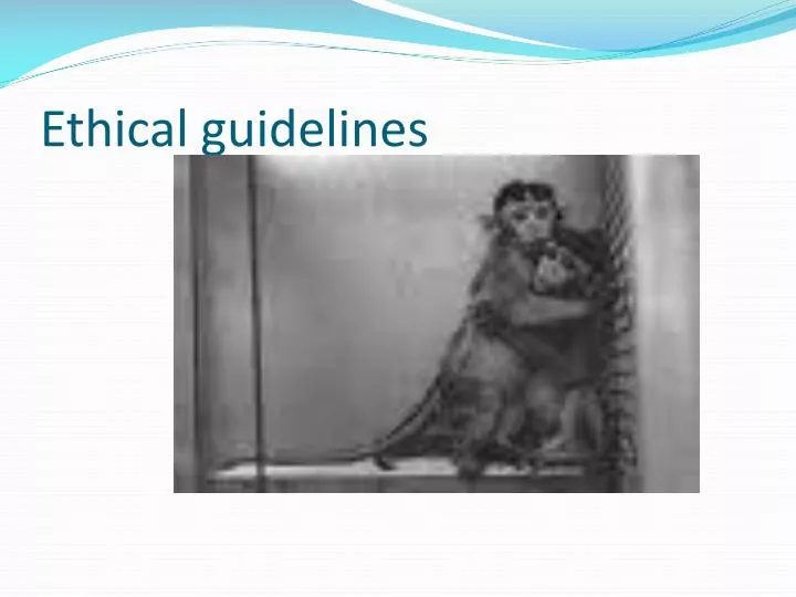 ethical guidelines