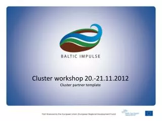Cluster workshop 20.-21.11.2012 Cluster partner template
