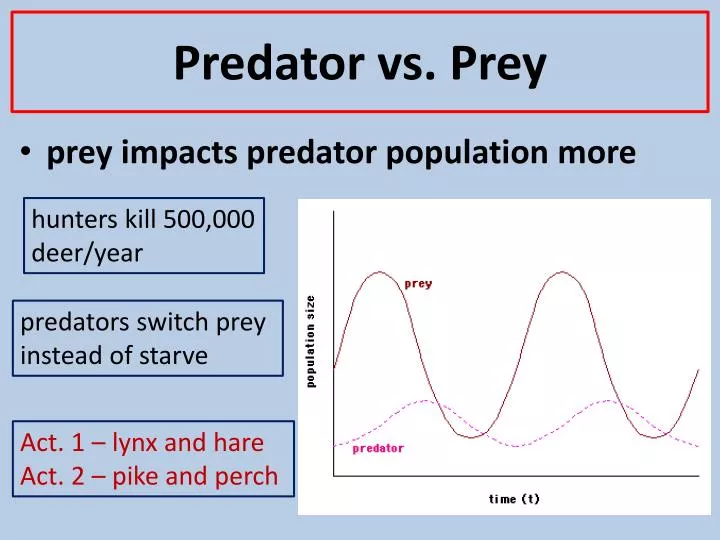 predator vs prey