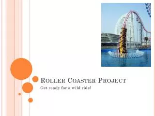 roller coaster project