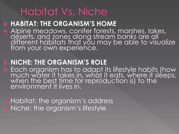 habitat vs niche