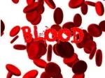 Types of white blood cells - slide 1