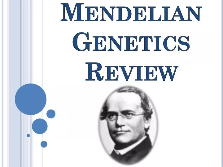 mendelian genetics review