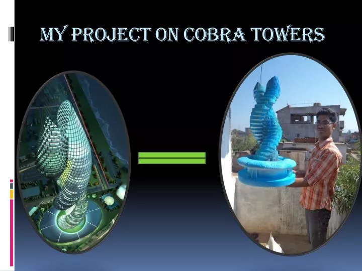 my project on cobra towers