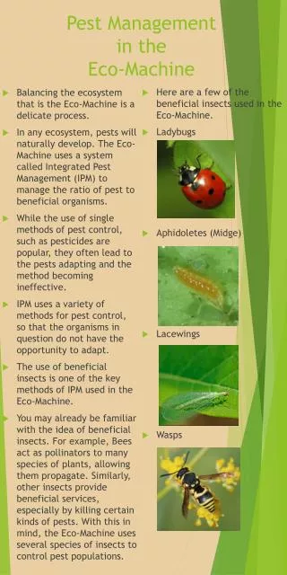 Pest Management in the Eco-Machine