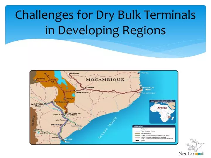 challenges for dry bulk terminals in developing regions