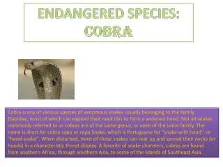 ENDANGERED SPECIES: COBRA