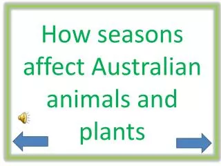 How seasons affect Australian animals and plants
