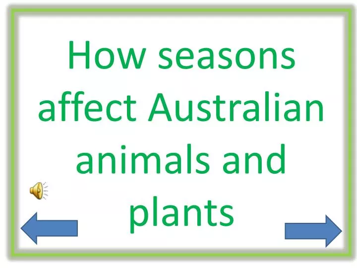 how seasons affect australian animals and plants