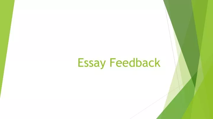 essay feedback