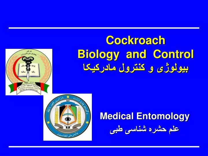 cockroach biology and control
