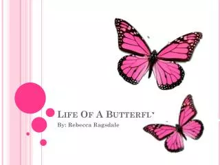 Life Of A Butterfly