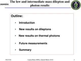 The low and intermediate mass dilepton and photon results