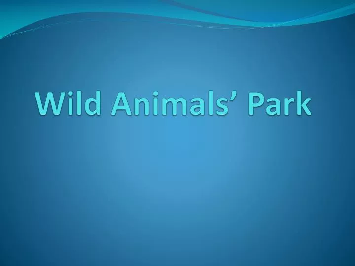wild animals park