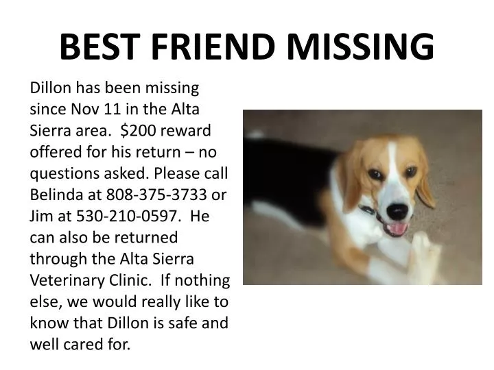 best friend missing