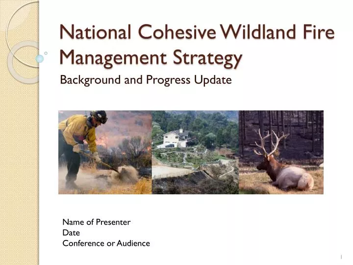 national cohesive wildland fire management strategy