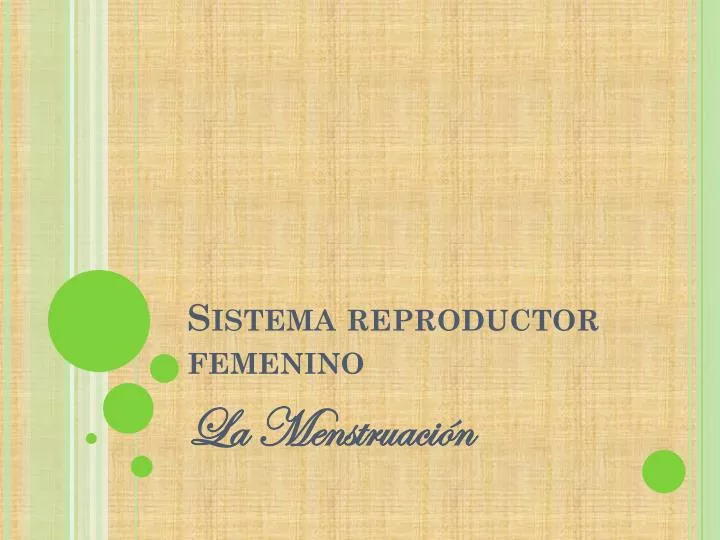 sistema reproductor femenino