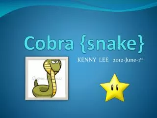 Cobra {snake}