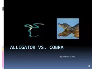 Alligator vs. cobra