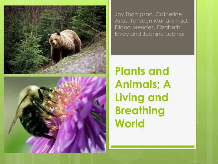 plants and animals a living and breathing world