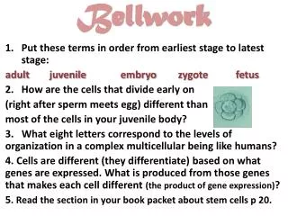 bellwork