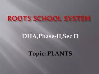 ROOTS SCHOOL SYSTEM