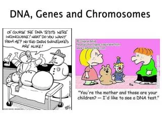 DNA, Genes and Chromosomes