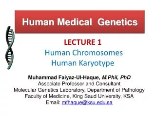 Human Medical Genetics