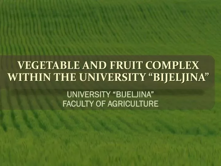 vegetable and fruit complex within the university bijeljina